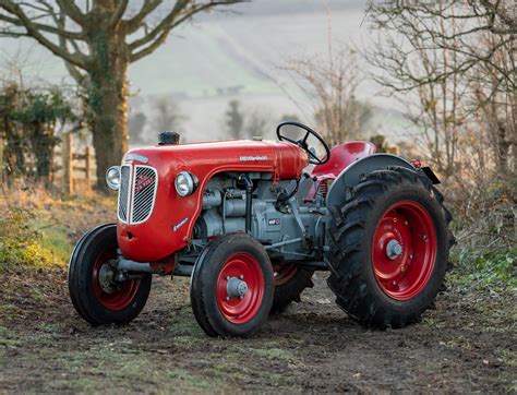 foto trattore lamborghini con rolex|Vintage lamborghini tractor Stock Photos and Images.